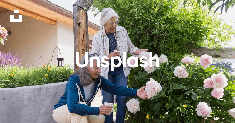 Beautiful Free Images & Pictures | Unsplash